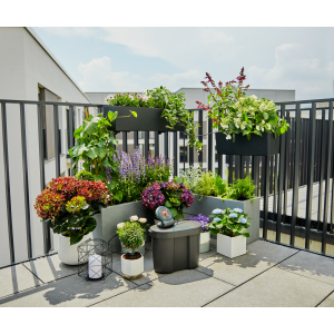 Gardena Solarno namakanje AquaBloom – komplet