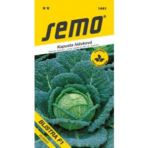 Ohrovt iz semena Blistra F1 pozno 35s