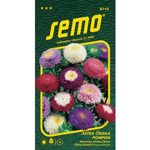 Semena Astra porcelan Pompon mešanica 0,5g