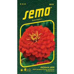 Semena Cherry Queen rdeča 0,7 g