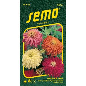 Semena Ostalella lepljiva mešanica kaktusa in cvetja 0,7g