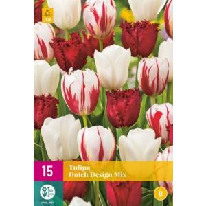 Tulipan Dutch Design Mix 'D'
