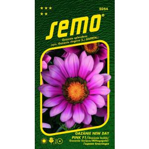 Semo Gazania vibrant New Day Pink F1 15s