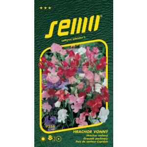 Amorjev grah 25cm 2g