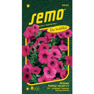 Seme petunje z visečim vijoličastim žametom F1 tip Surfinia 10p