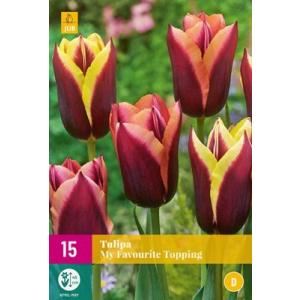 Tulipan Moj najljubši preliv "E"