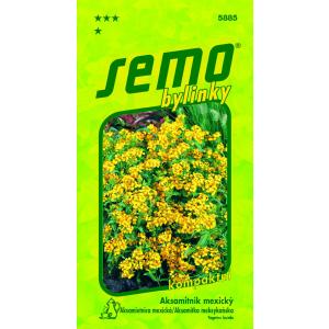 Seme mehiškega žametovca 0,5g