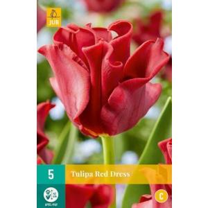 Tulipanovo rdeča obleka "C"