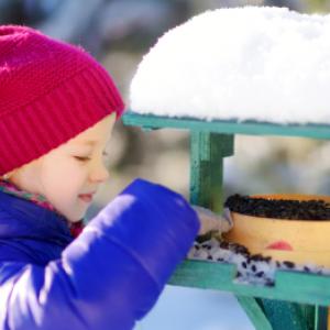 Kako izdelati ptičjo krmilnico in katera vrsta je najprimernejša?